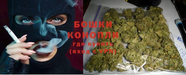 прущие грибы Бородино