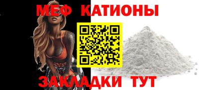 индика Гатчина