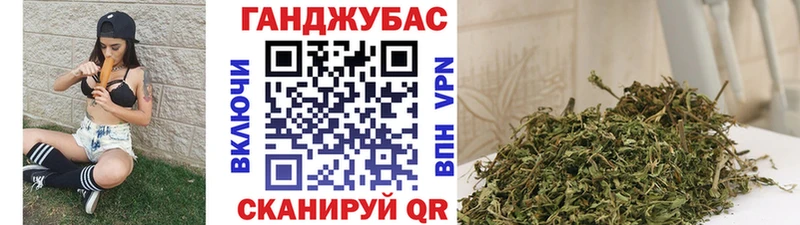 где найти   Елизово  Шишки марихуана Amnesia 